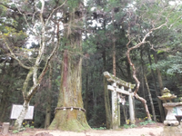 熊野神社