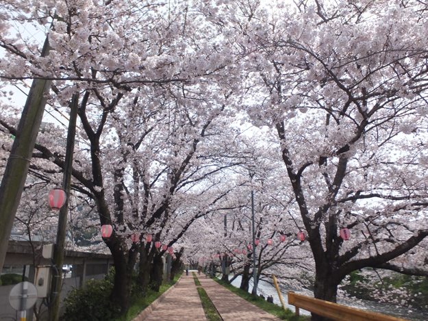 厚狭川河畔