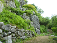 彦山竹林公園