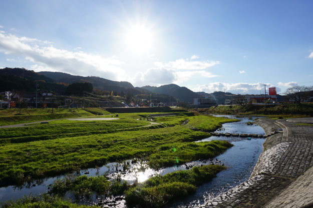 美祢さくら公園 ロケーション紹介 自然 美祢市フィルムコミッション