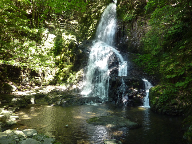 秋芳白糸の滝