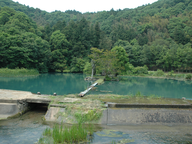 白水の池