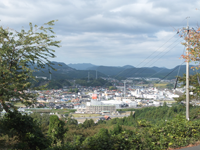 雲海展望道路公園