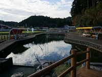 養鱒場