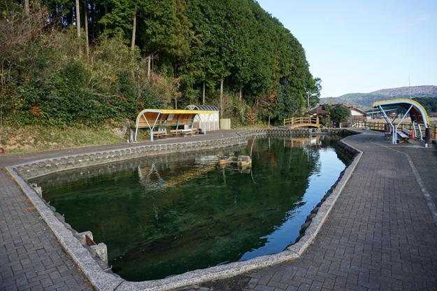 養鱒場